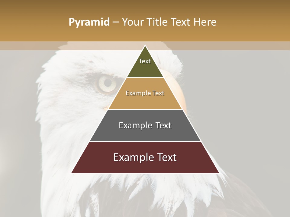 Condition Remote Cold PowerPoint Template