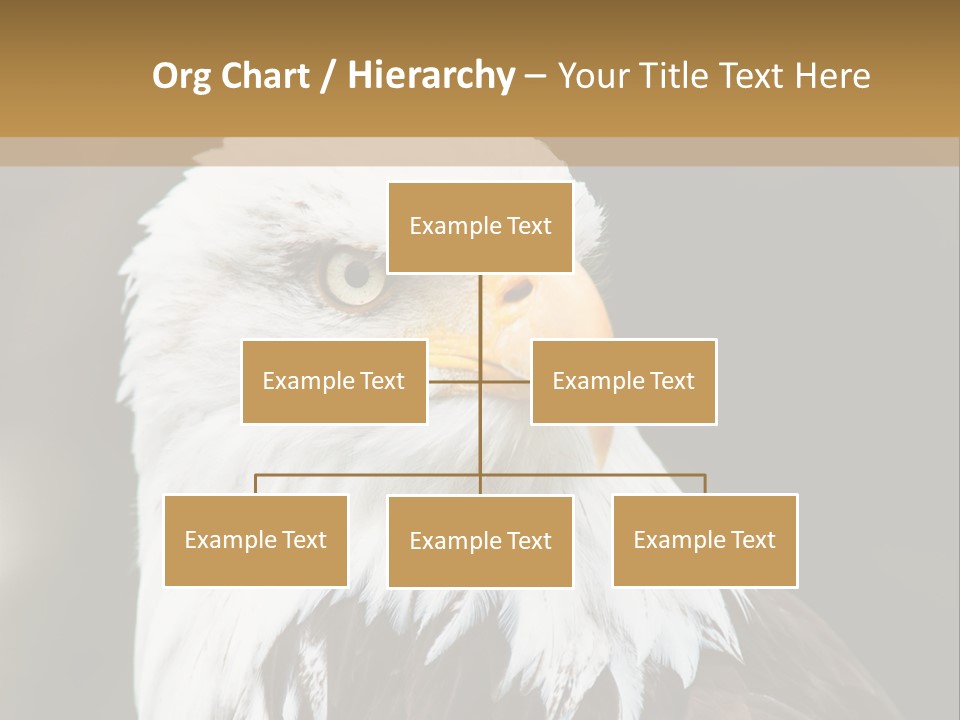 Condition Remote Cold PowerPoint Template