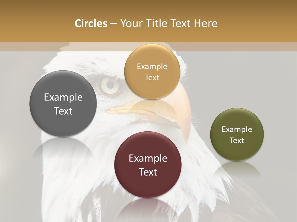 Condition Remote Cold PowerPoint Template