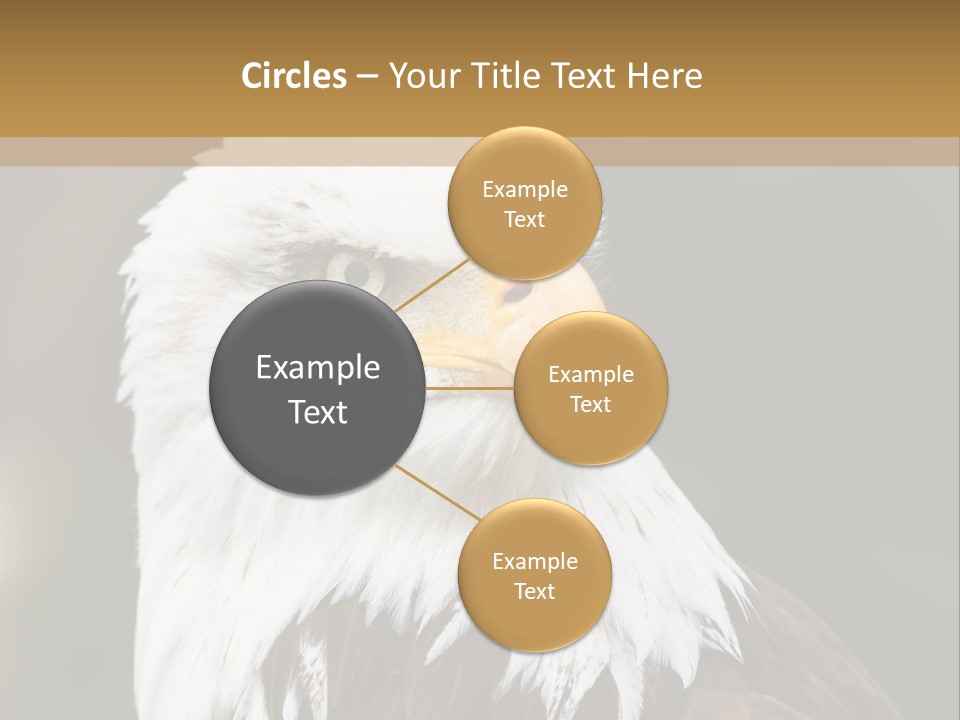 Condition Remote Cold PowerPoint Template