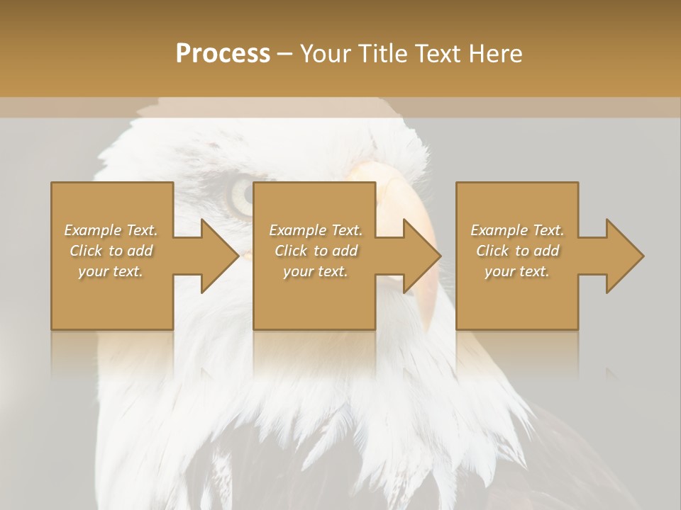 Condition Remote Cold PowerPoint Template