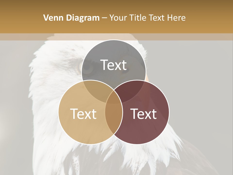 Condition Remote Cold PowerPoint Template