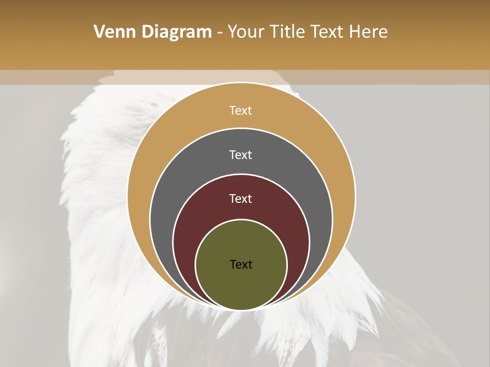 Condition Remote Cold PowerPoint Template