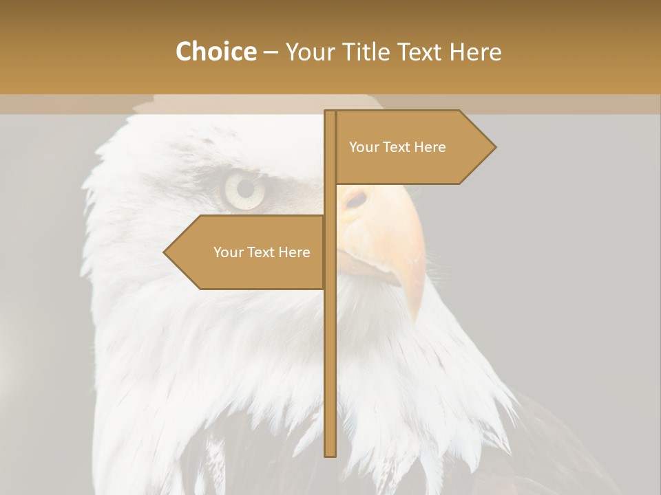 Condition Remote Cold PowerPoint Template