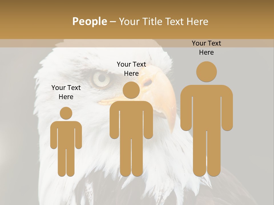 Condition Remote Cold PowerPoint Template