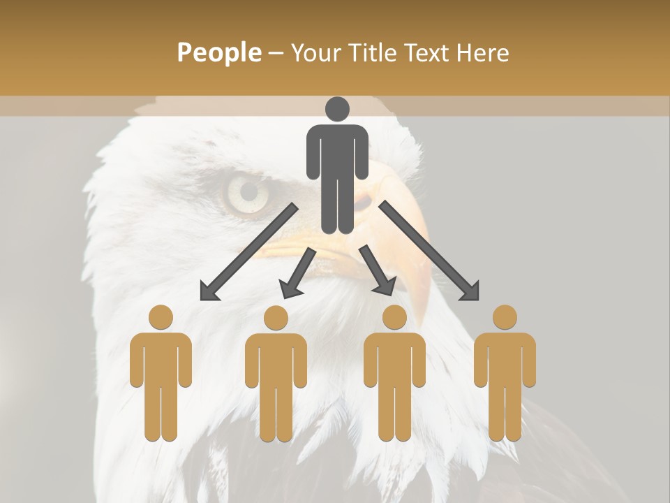 Condition Remote Cold PowerPoint Template