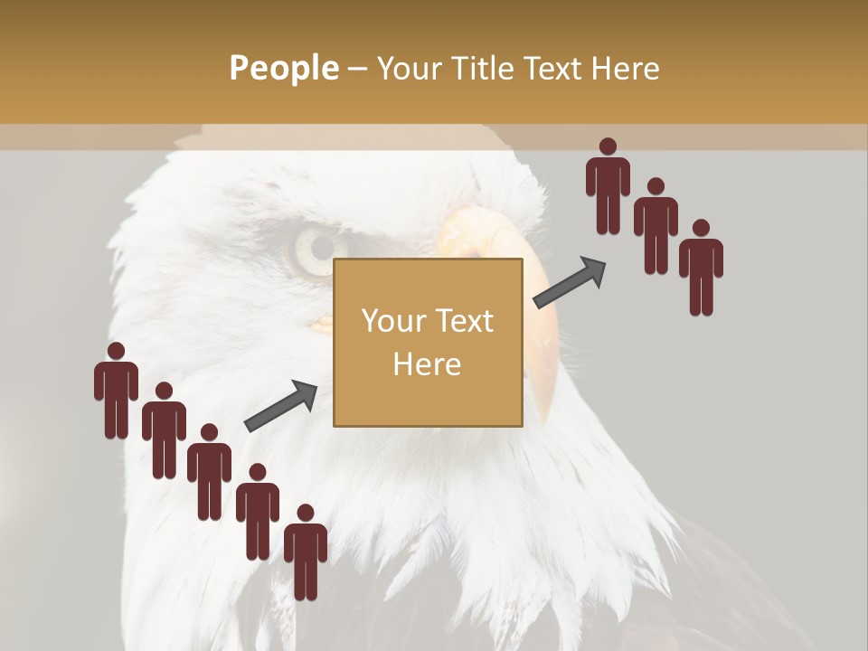 Condition Remote Cold PowerPoint Template