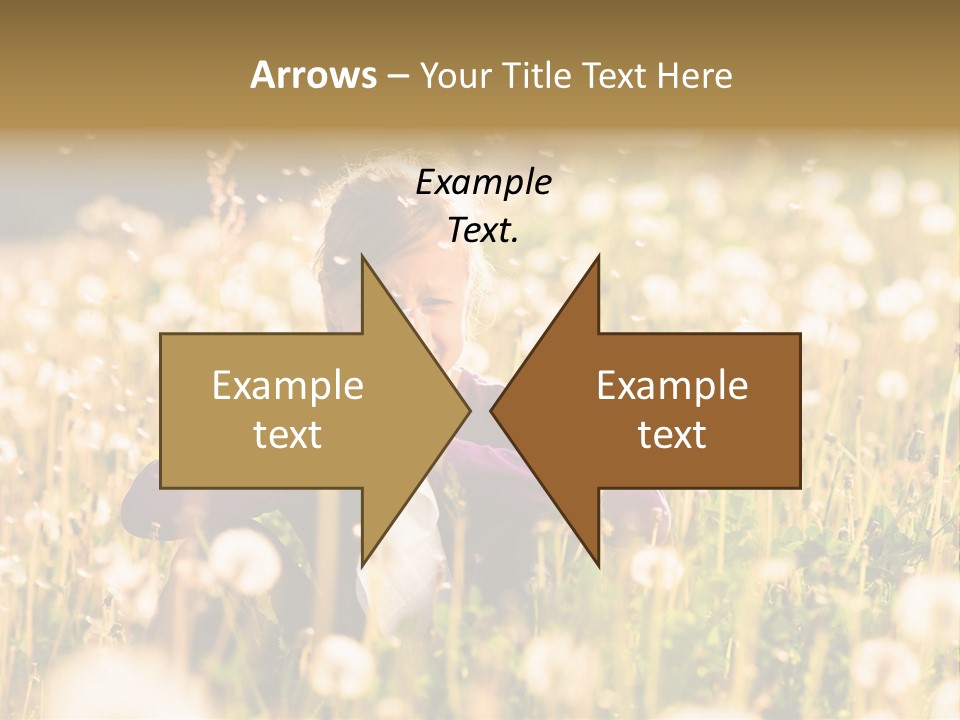 Air White Home PowerPoint Template