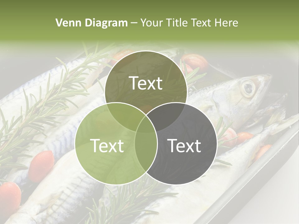 Home White Switch PowerPoint Template