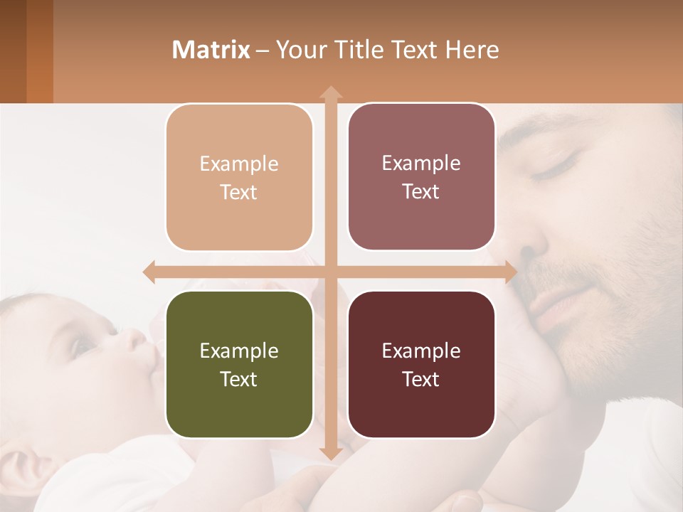 Home System Industry PowerPoint Template