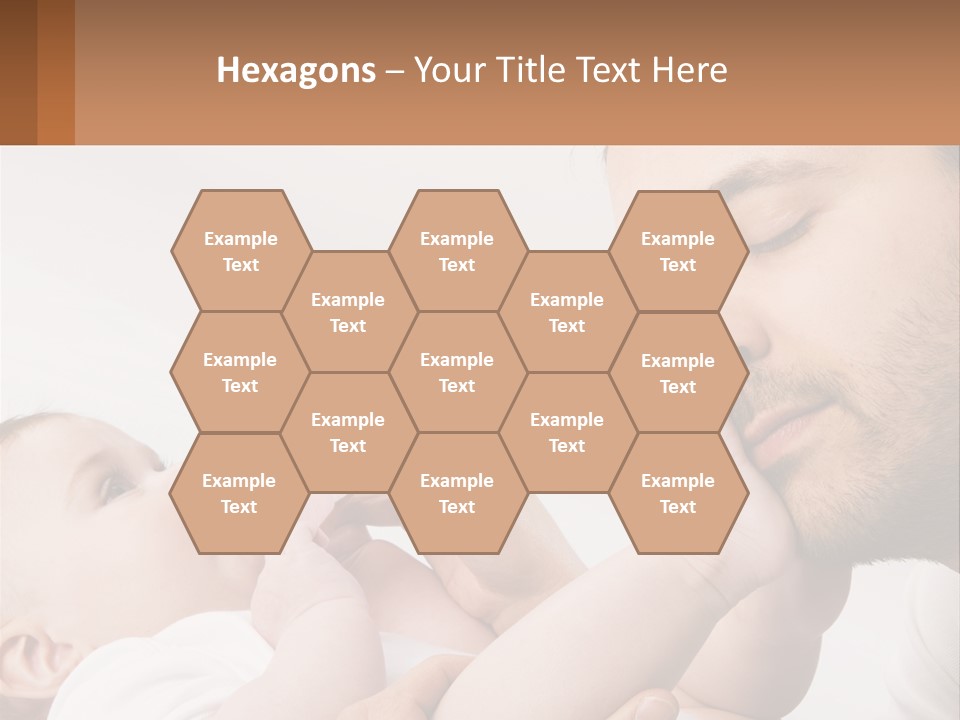 Home System Industry PowerPoint Template