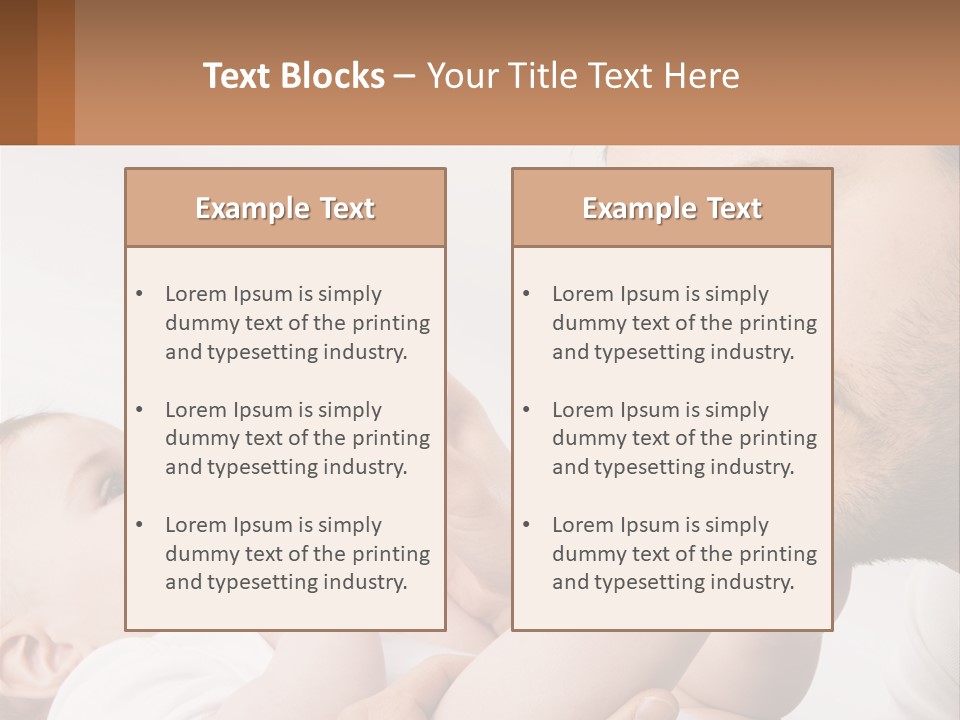 Home System Industry PowerPoint Template