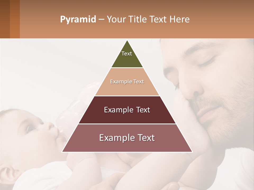 Home System Industry PowerPoint Template