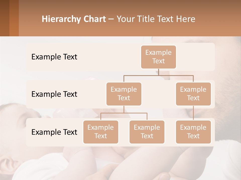 Home System Industry PowerPoint Template
