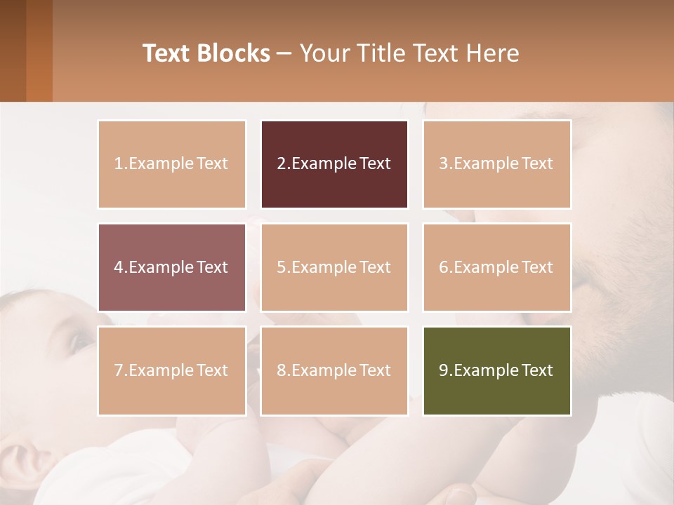 Home System Industry PowerPoint Template