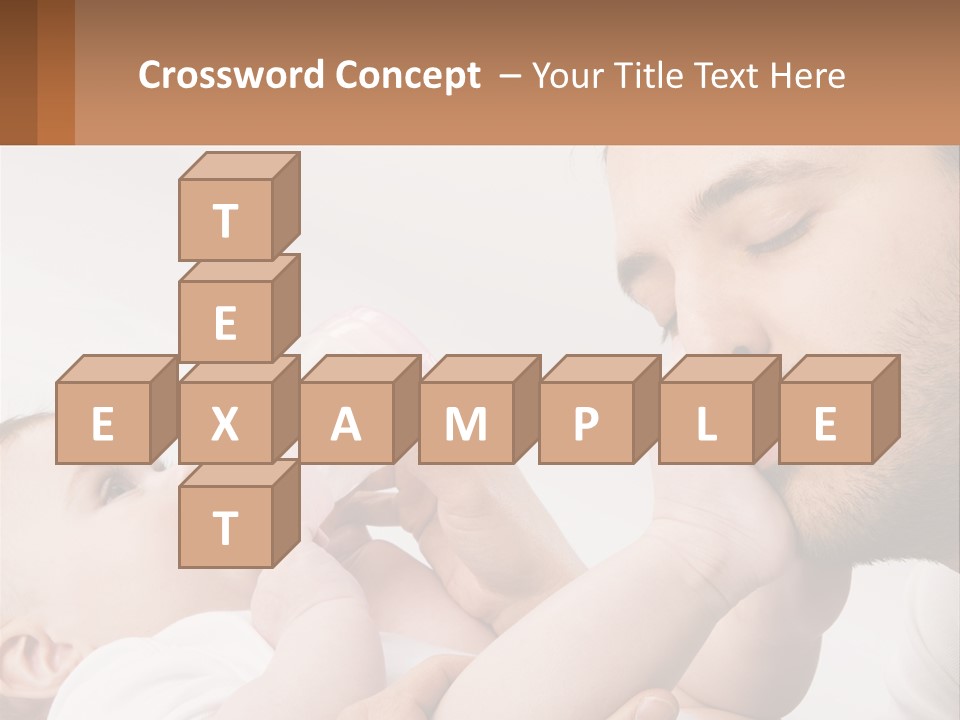 Home System Industry PowerPoint Template