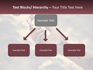 Unit Air Electric PowerPoint Template