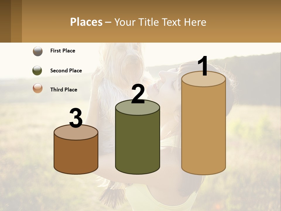 Switch Cooling Unit PowerPoint Template