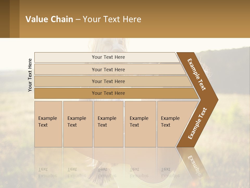 Switch Cooling Unit PowerPoint Template