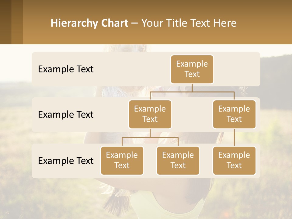 Switch Cooling Unit PowerPoint Template