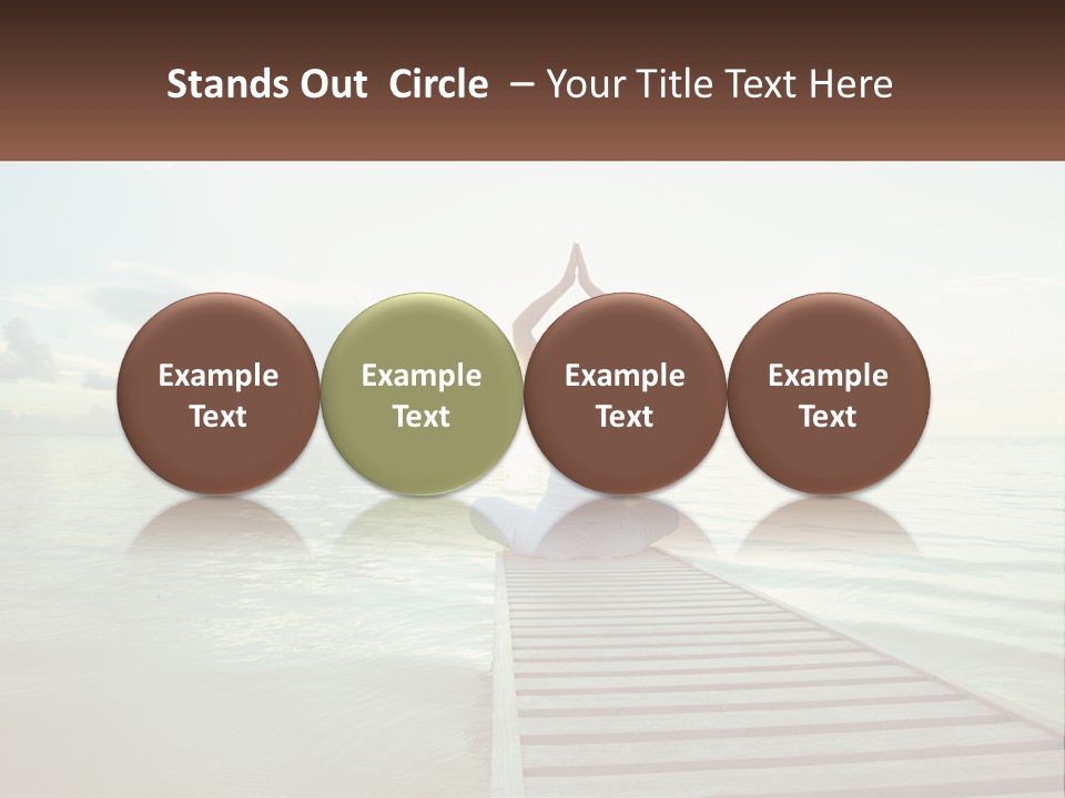 Home White Switch PowerPoint Template