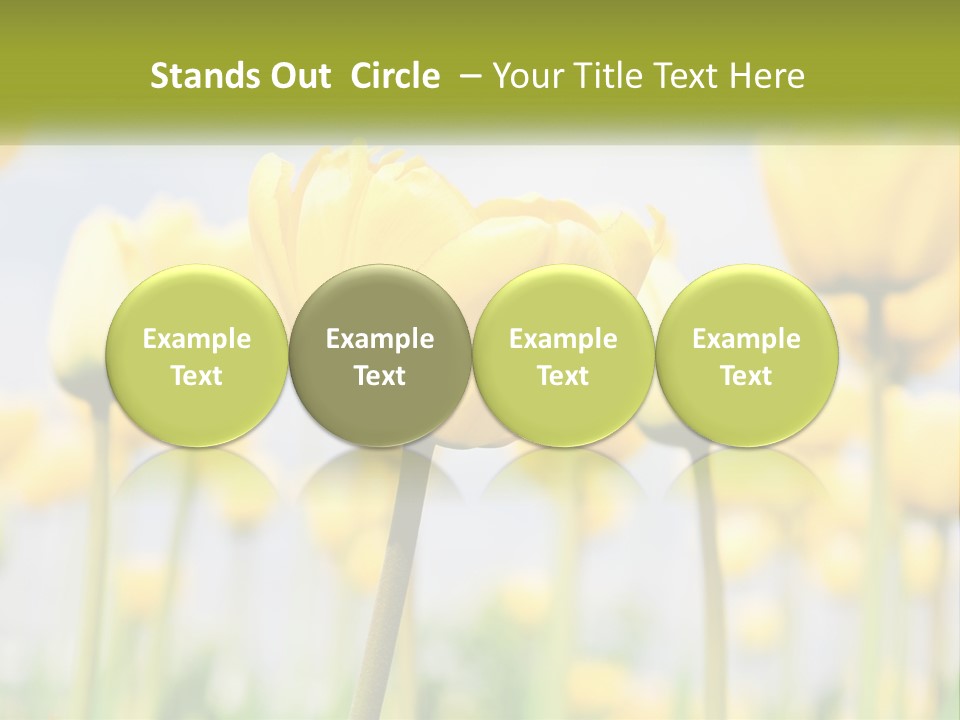 Technology Electricity Switch PowerPoint Template