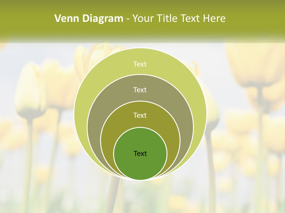 Technology Electricity Switch PowerPoint Template