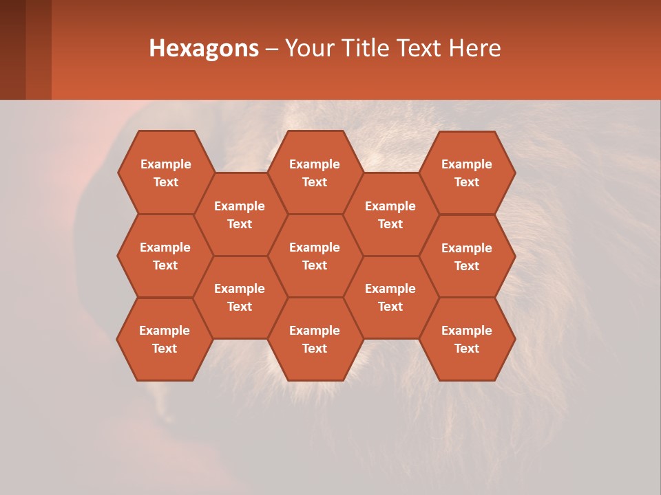 House Temperature Ventilation PowerPoint Template