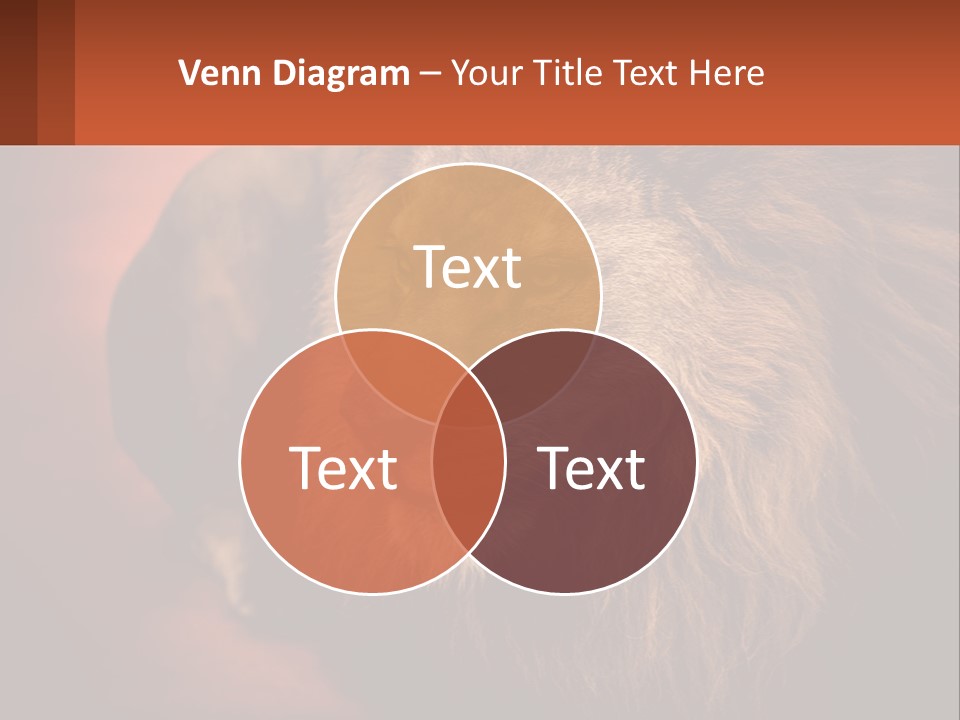 House Temperature Ventilation PowerPoint Template