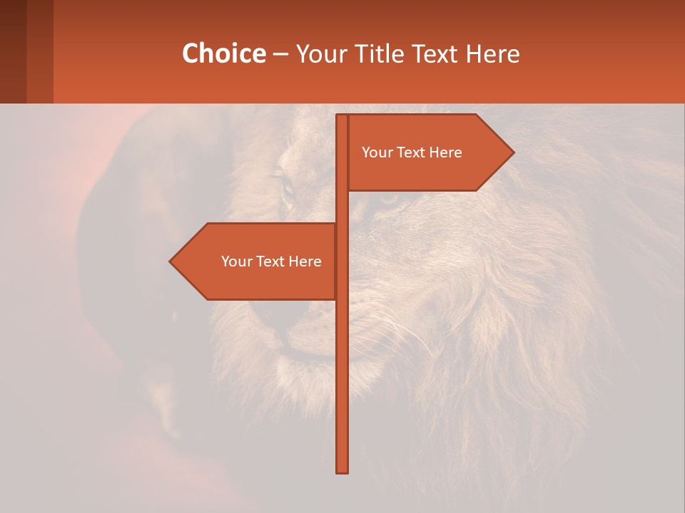 House Temperature Ventilation PowerPoint Template