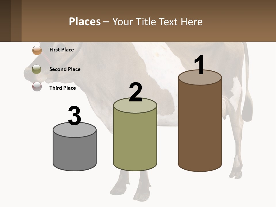 Conditioner House Cooling PowerPoint Template