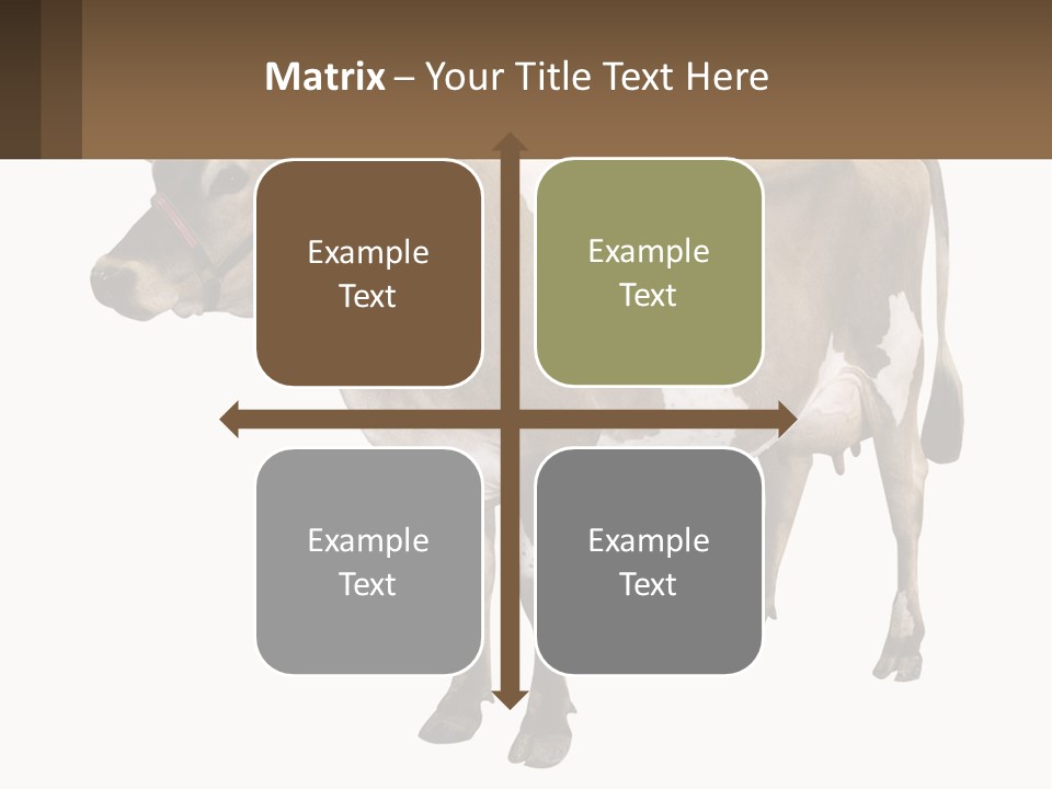 Conditioner House Cooling PowerPoint Template