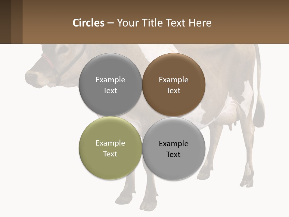 Conditioner House Cooling PowerPoint Template