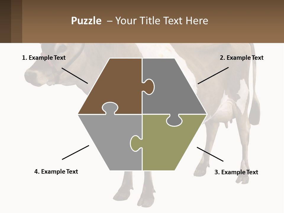 Conditioner House Cooling PowerPoint Template