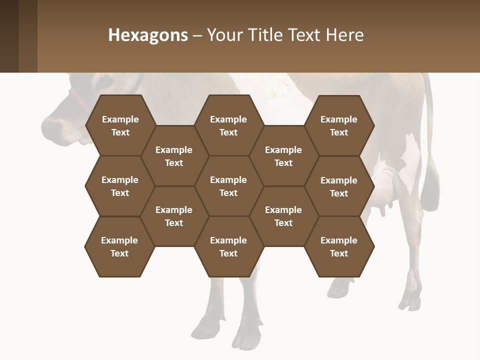 Conditioner House Cooling PowerPoint Template