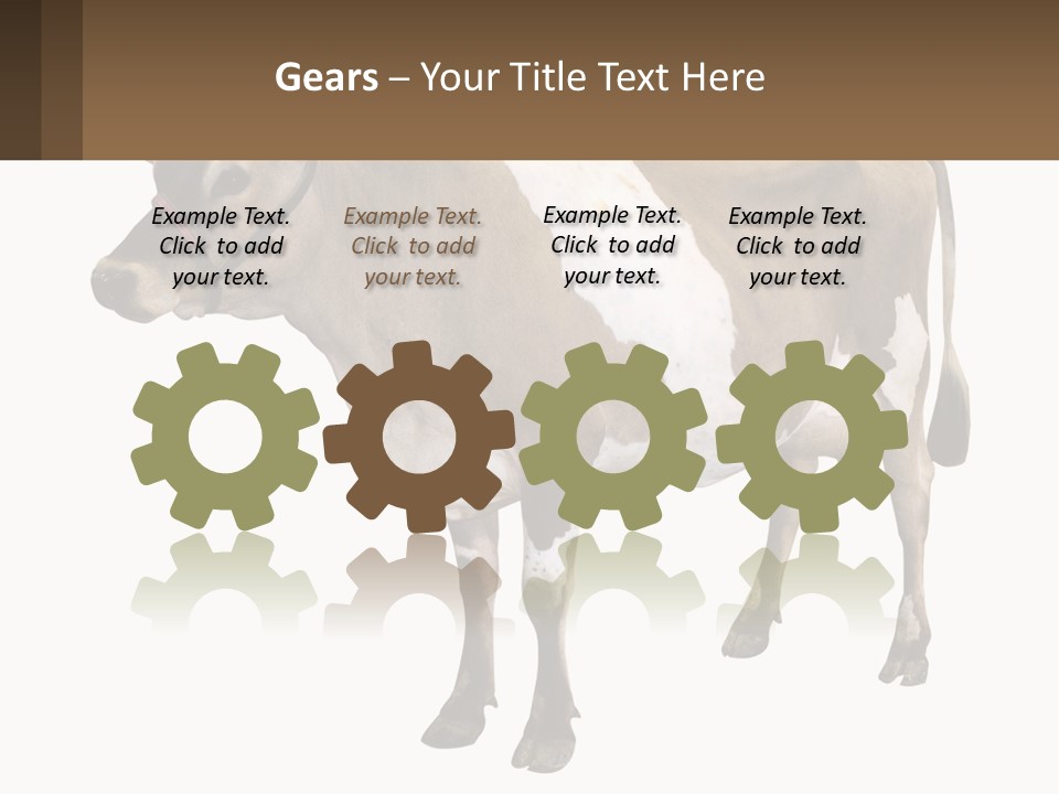 Conditioner House Cooling PowerPoint Template