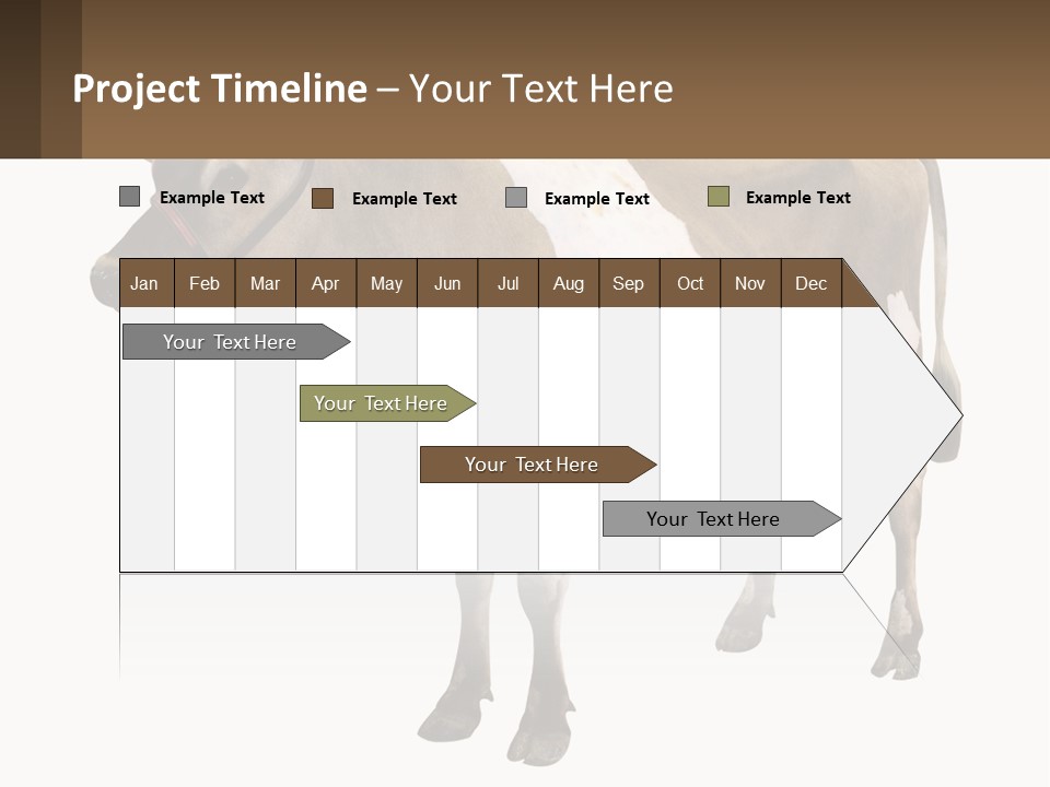 Conditioner House Cooling PowerPoint Template