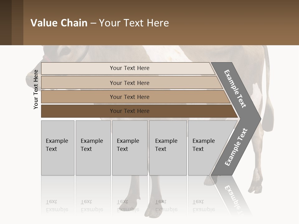 Conditioner House Cooling PowerPoint Template