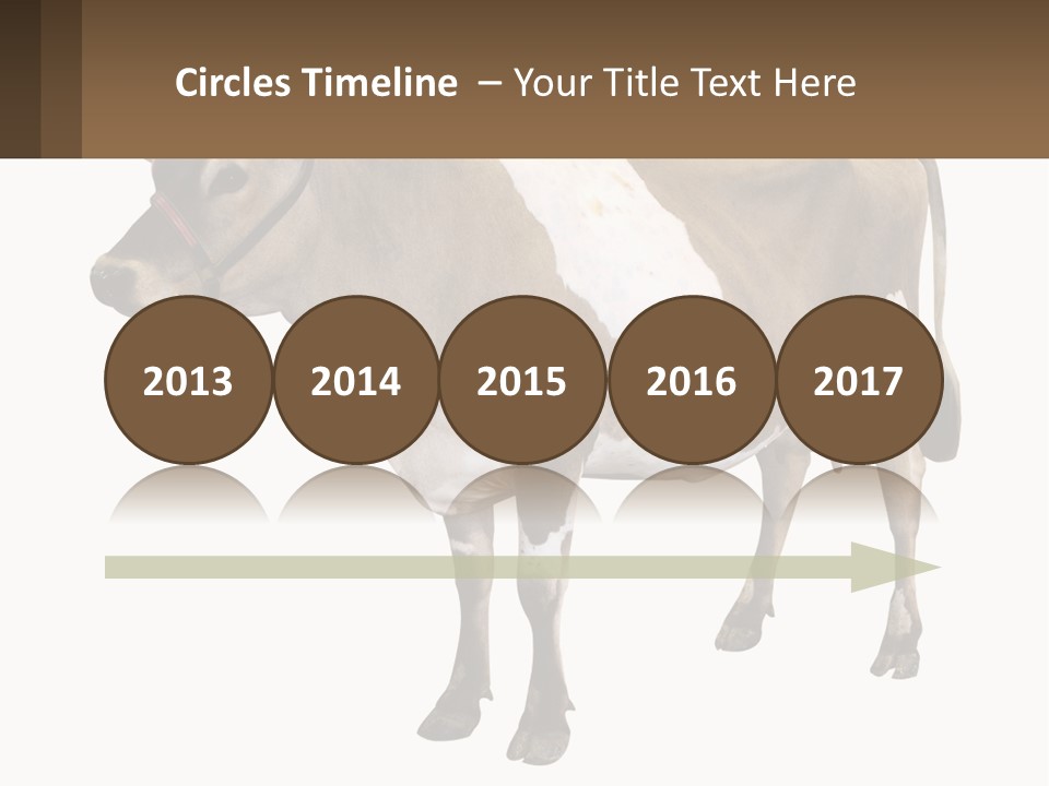 Conditioner House Cooling PowerPoint Template