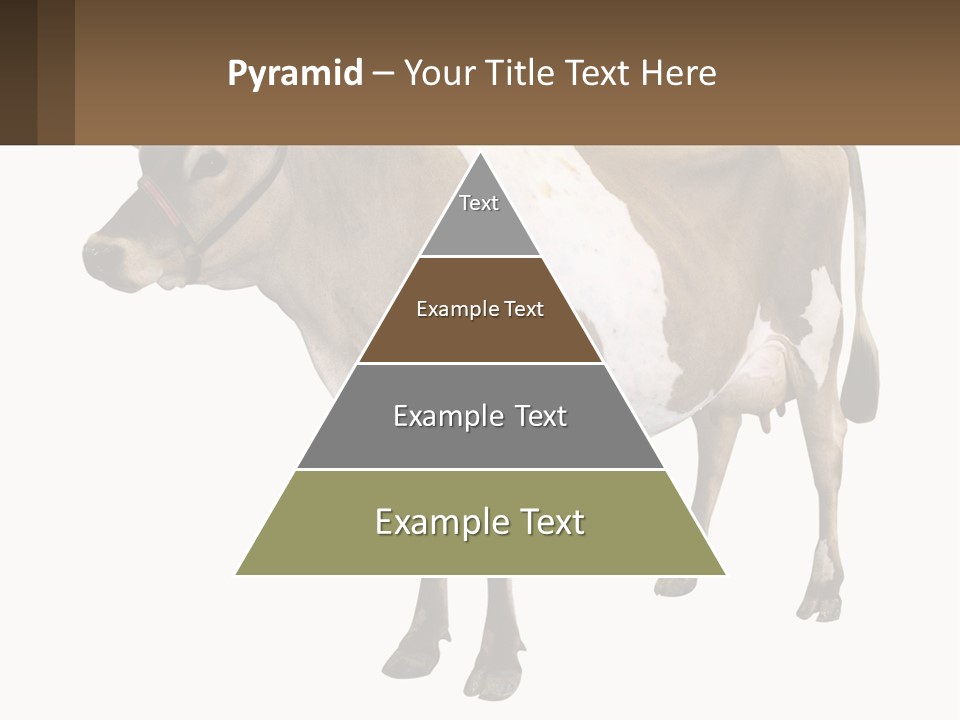 Conditioner House Cooling PowerPoint Template