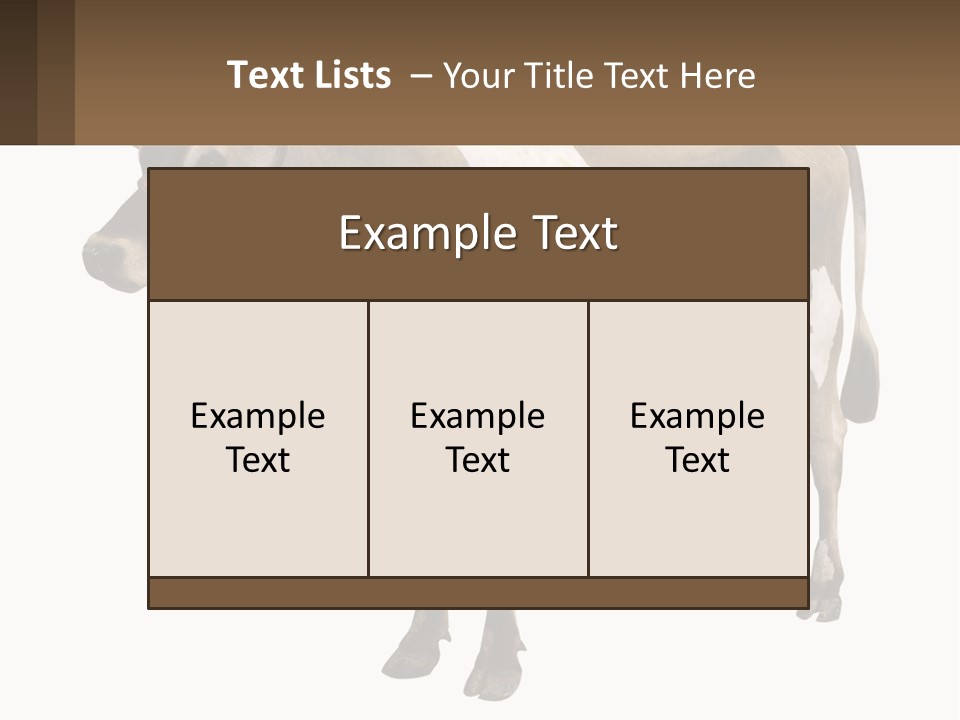 Conditioner House Cooling PowerPoint Template