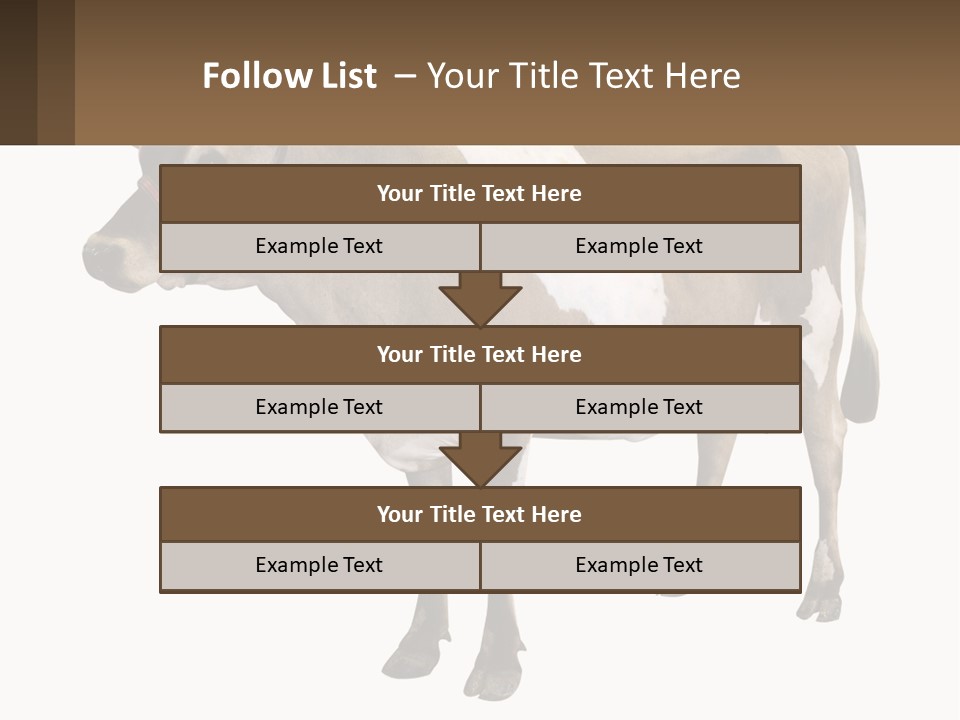 Conditioner House Cooling PowerPoint Template