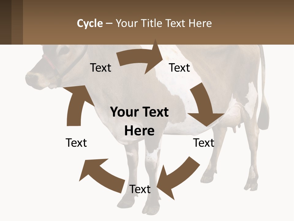 Conditioner House Cooling PowerPoint Template