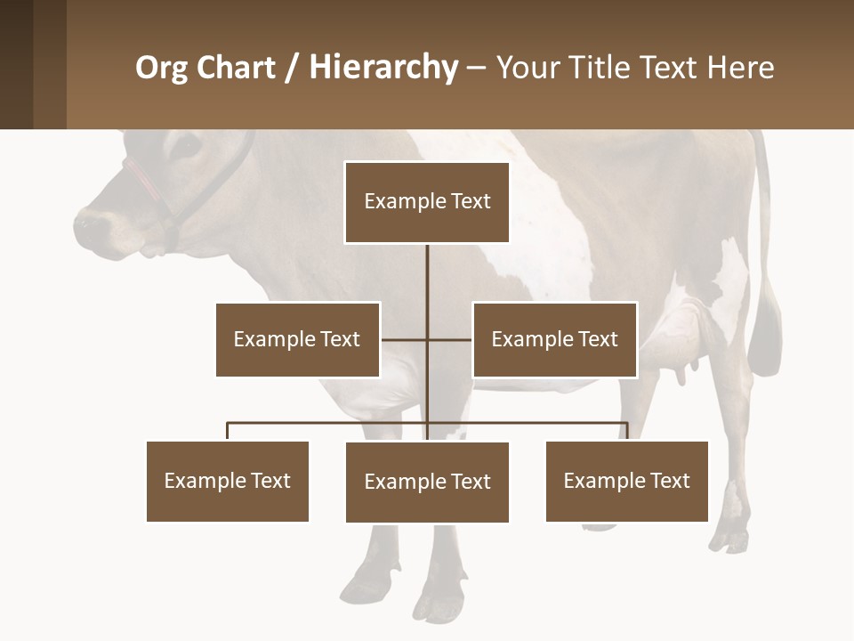 Conditioner House Cooling PowerPoint Template