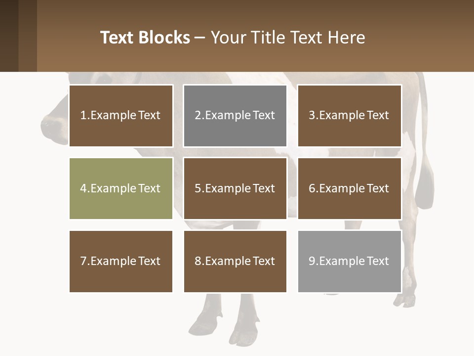 Conditioner House Cooling PowerPoint Template