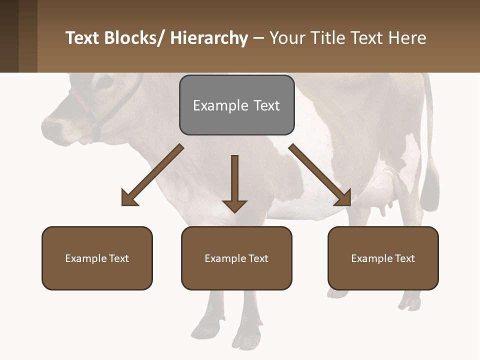 Conditioner House Cooling PowerPoint Template