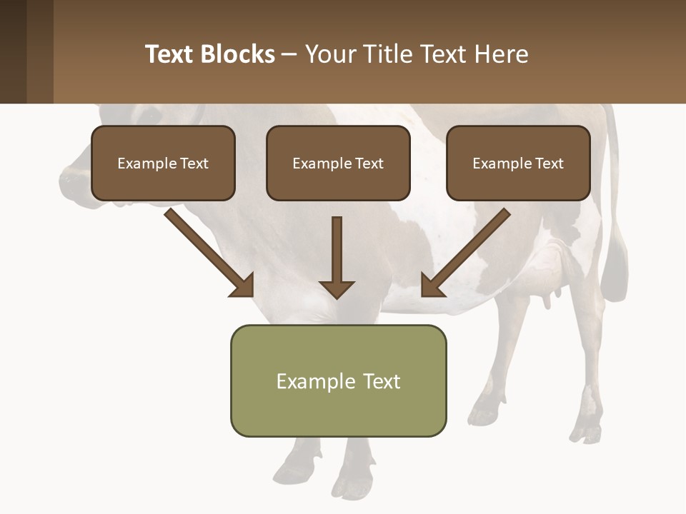 Conditioner House Cooling PowerPoint Template