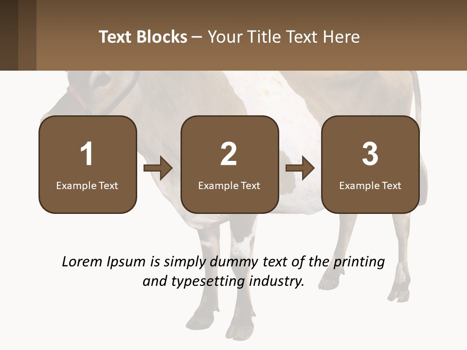 Conditioner House Cooling PowerPoint Template