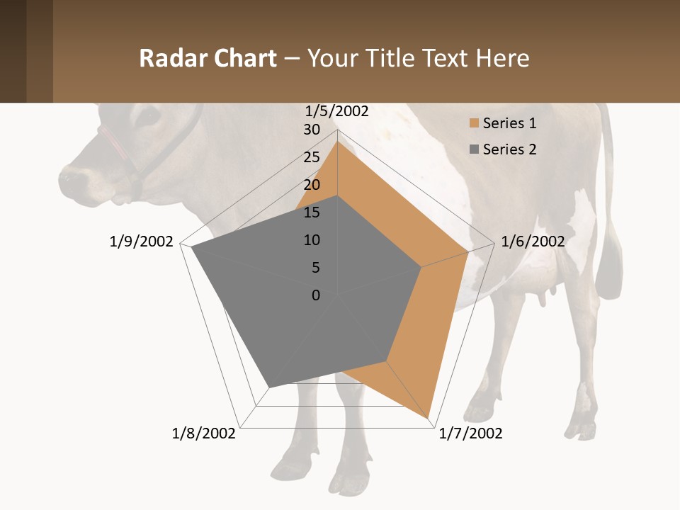 Conditioner House Cooling PowerPoint Template