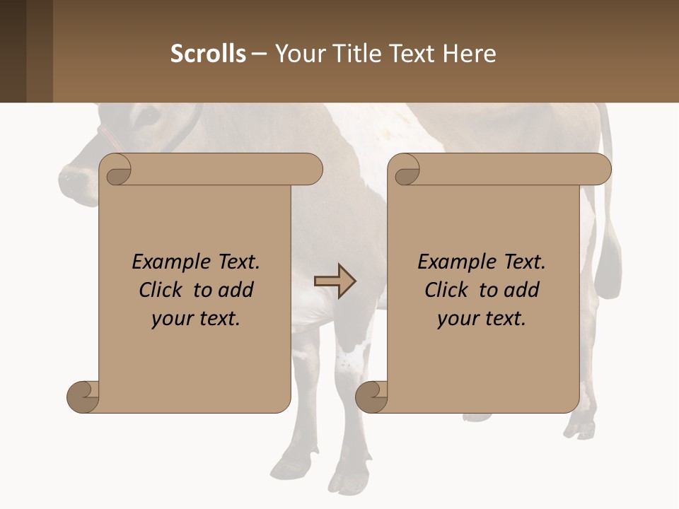 Conditioner House Cooling PowerPoint Template